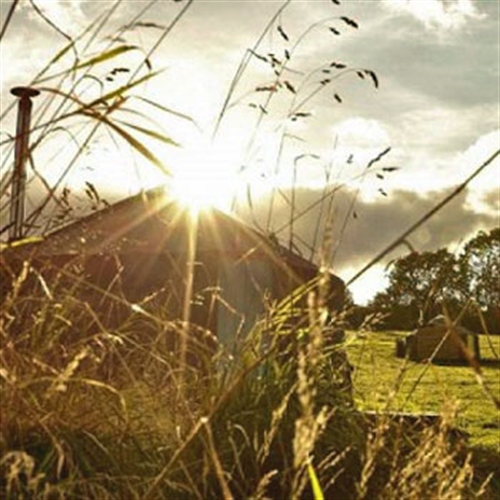 meadow yurt meadow yurt